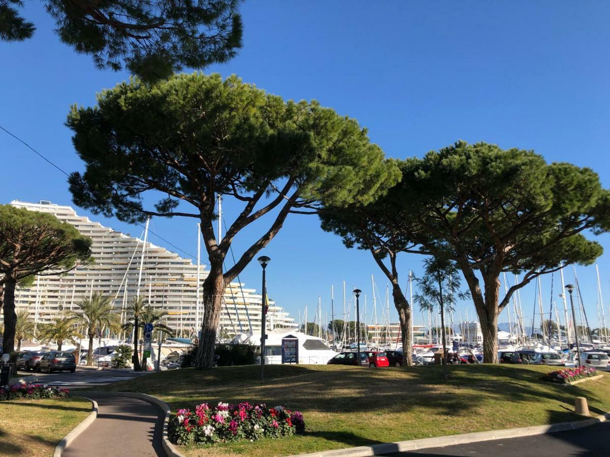 La Studette Marina 06 Daire Villeneuve-Loubet Dış mekan fotoğraf