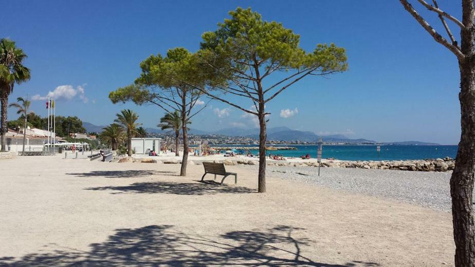 La Studette Marina 06 Daire Villeneuve-Loubet Dış mekan fotoğraf